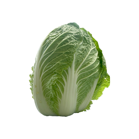 白菜