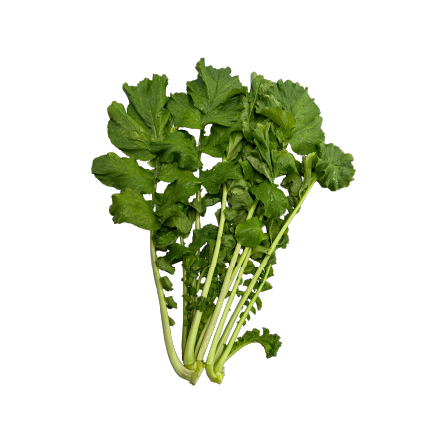 大根菜